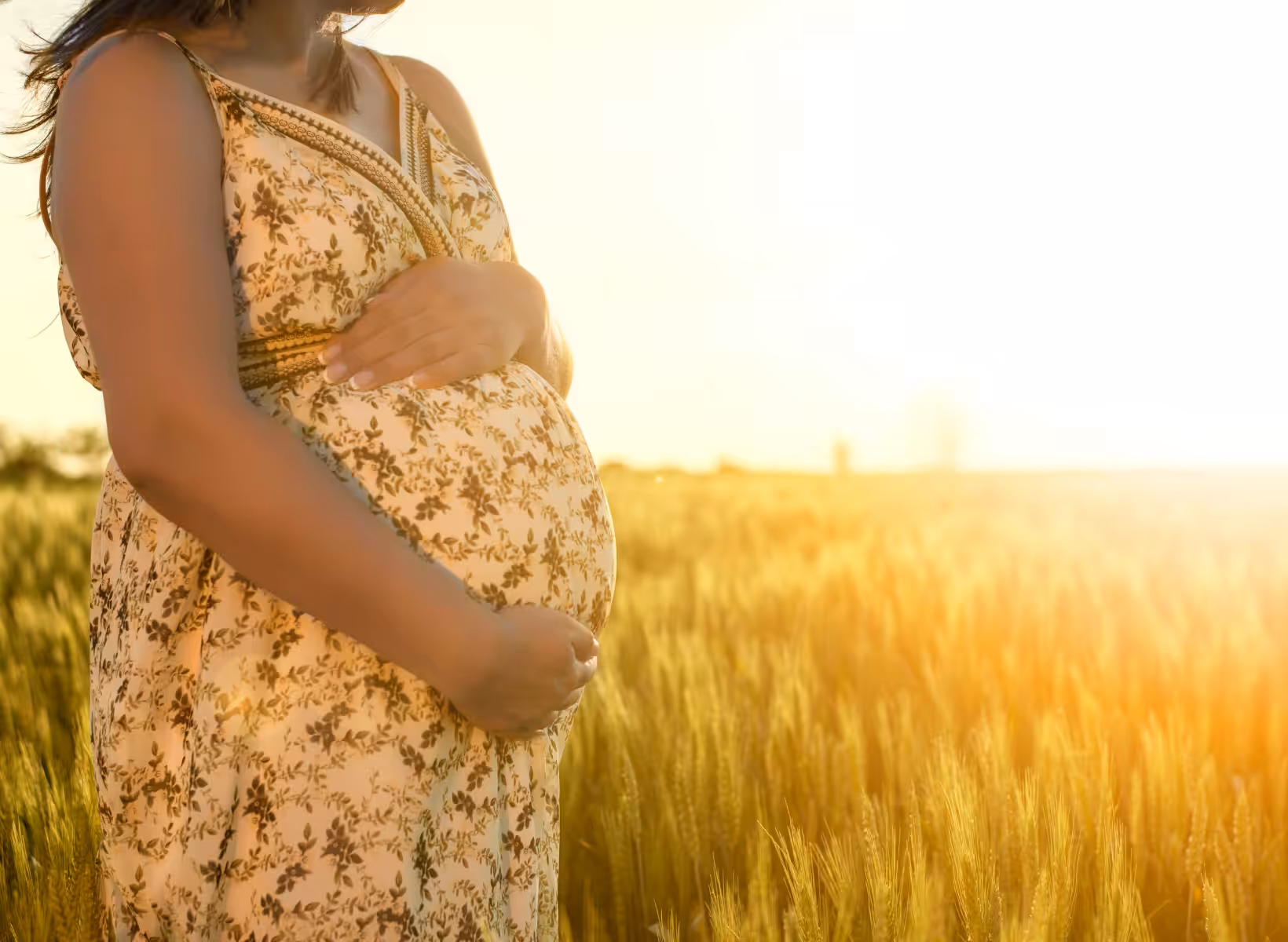 Pregnant Mother in Cornfield