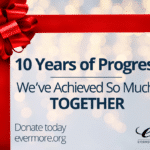 10 Years of Making the World a More Livable Place for All Bereaved People